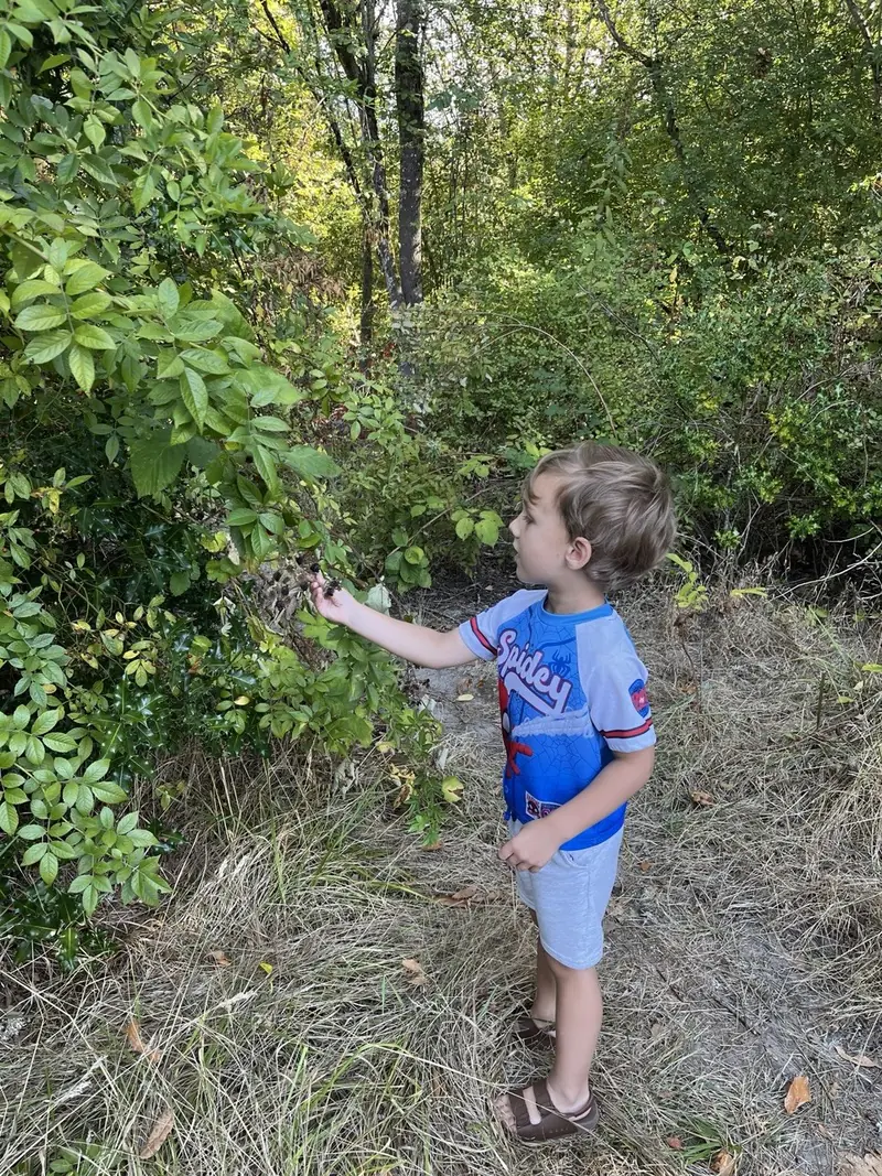 Young boy exploring a wooded nature trail, reaching toward a berry bush